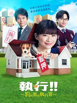 《古战场传奇第四季》电视剧高清全集