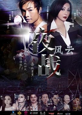 《玉面飞狐国语》电视剧高清全集