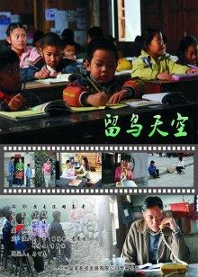《绀田照的合法食谱》电视剧高清全集