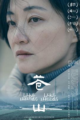 《魔鬼碟仙2024》电影高清完整版