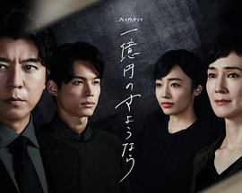 《芝加哥急救第三季》电视剧高清全集