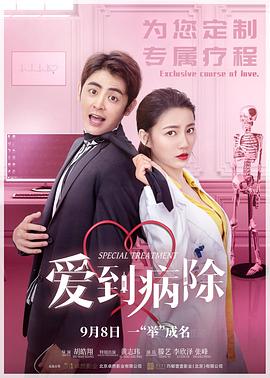《漏洞【影视说明】》电影高清完整版