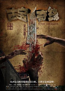 《大侦察波洛第八季》电视剧高清全集