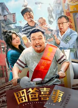《斯特莱克探案集第四季》电视剧高清全集