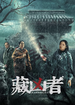 《中年男的异国际网购日子》动漫高清全集