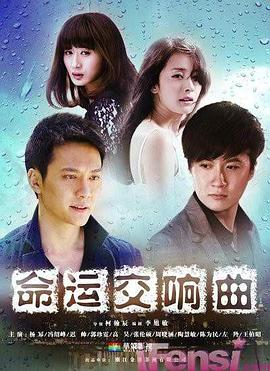 《杀妻2人组》电影高清完整版