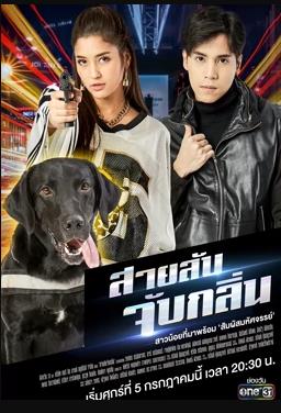 《渔港的肉子酱》动漫高清全集