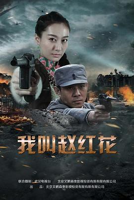 《上海王2008》电视剧高清全集