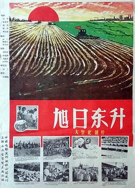 《芳华无季》电视剧高清全集