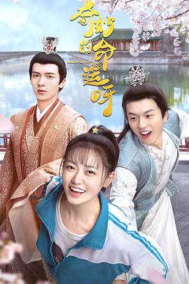 《一个小忙》电影高清完整版
