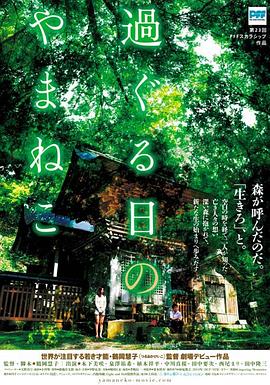 《乌蒙深处》电视剧高清全集