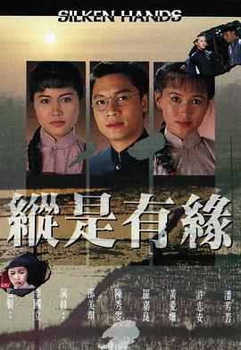 《新猛龙过江》电视剧高清全集