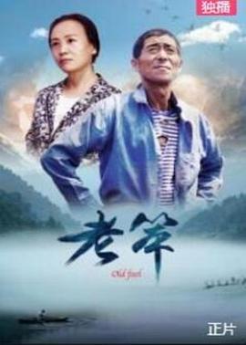 《掌上齐眉》电视剧高清全集