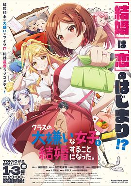 《律界伟人第四季》电视剧高清全集