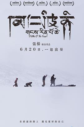 《56天》电视剧高清全集