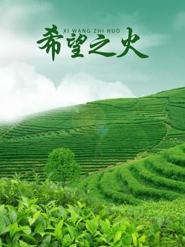 《墨卡托头绪》电影高清完整版