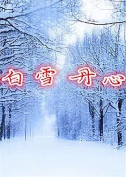 《布达佩斯之恋(剧情说明）》电影高清完整版