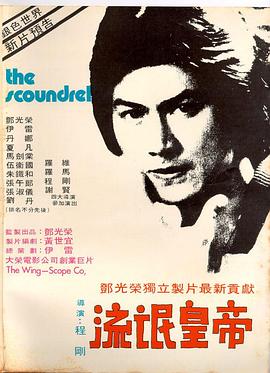 《平原烽烟》电视剧高清全集
