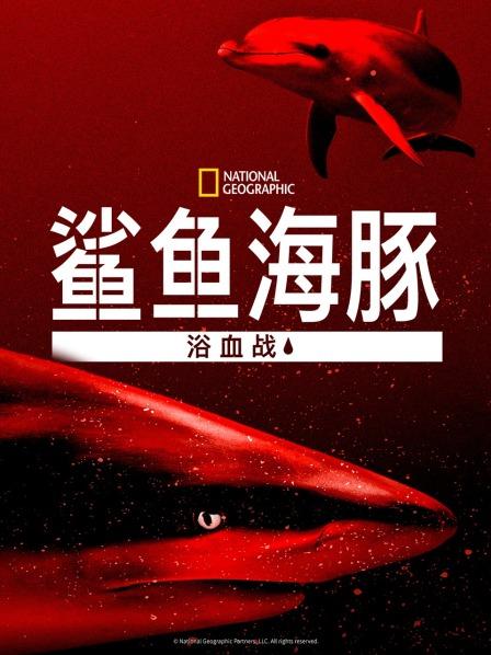 《恐龙战队第三季》动漫高清全集