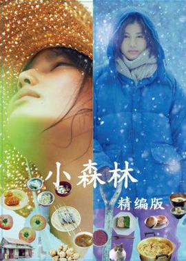《漂泊的迪潘》电影高清完整版