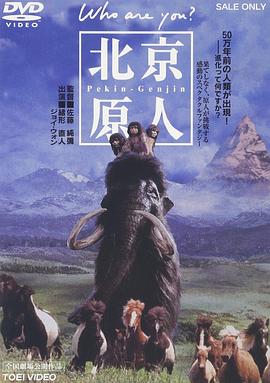 《达·芬奇的恶魔第二季》电视剧高清全集