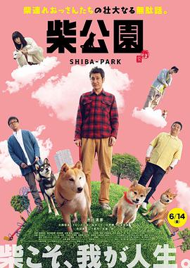 《天边侠医粤语》电视剧高清全集