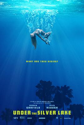 《成功之光》电影高清完整版