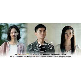 《天火2006》电视剧高清全集