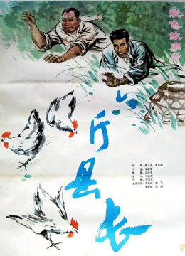 《高雅的相遇》电影高清完整版