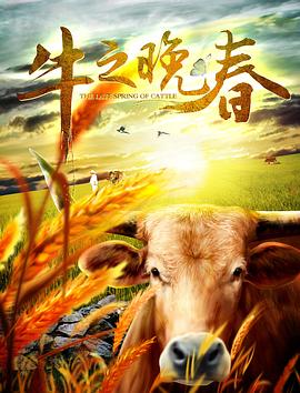《冲浪女孩布鲁娜》电影高清完整版