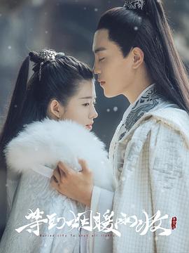 《欲望都市第六季》电视剧高清全集