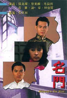 《新夏威夷神探第三季》电视剧高清全集