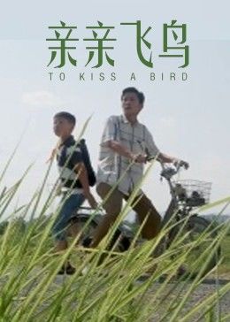 《中央公园第三季》动漫高清全集