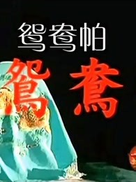 《义胆厨星》电影高清完整版