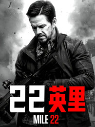 《驯龙高手》动漫高清全集