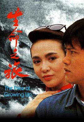 《铁血大旗门国语》电视剧高清全集