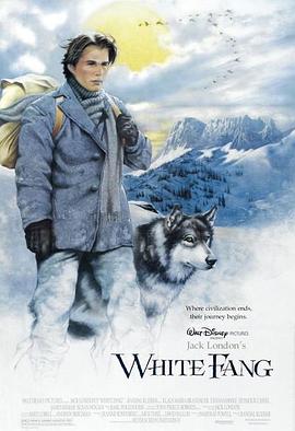 《高档项目》电影高清完整版