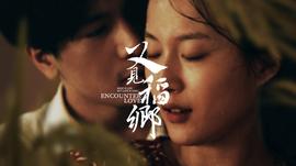 《光辉》电视剧高清全集