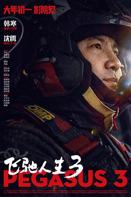 《大奇数》电影高清完整版