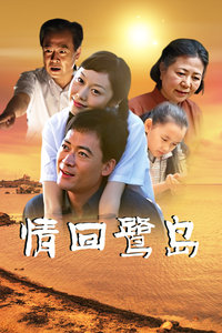 《浪迹天涯》电视剧高清全集