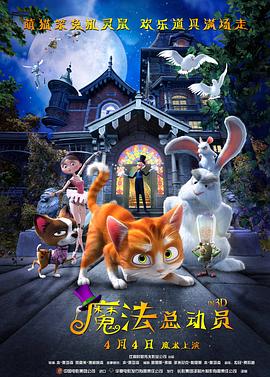 《向风而行》电视剧高清全集