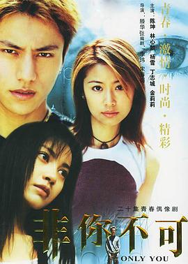 《偷心俏冤家》电视剧高清全集