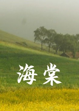《波兰宗族》电视剧高清全集