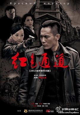 《爱在博尔塔拉》电视剧高清全集