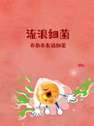 《小鸟之翼第二季》动漫高清全集