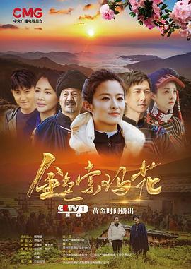 《世界上另一个你》电视剧高清全集