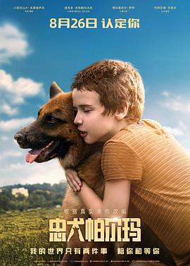 《李清照》电影高清完整版