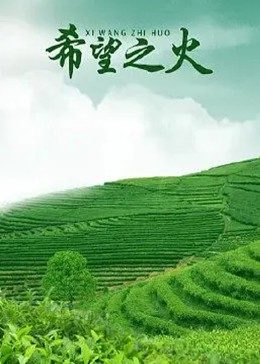 《2025东方卫视跨年》综艺高清完整版