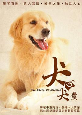 相关部分已抵达“鹅腿阿姨”出产“鹅腿”的后厨