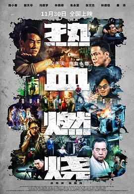 《新西兰奸细》电视剧高清全集